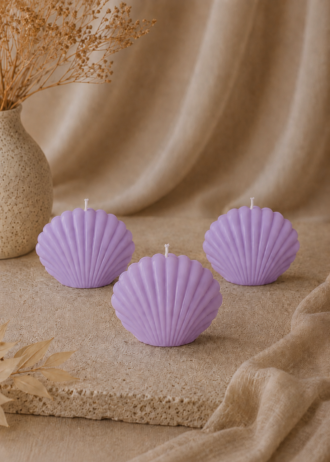 Coquillage velours