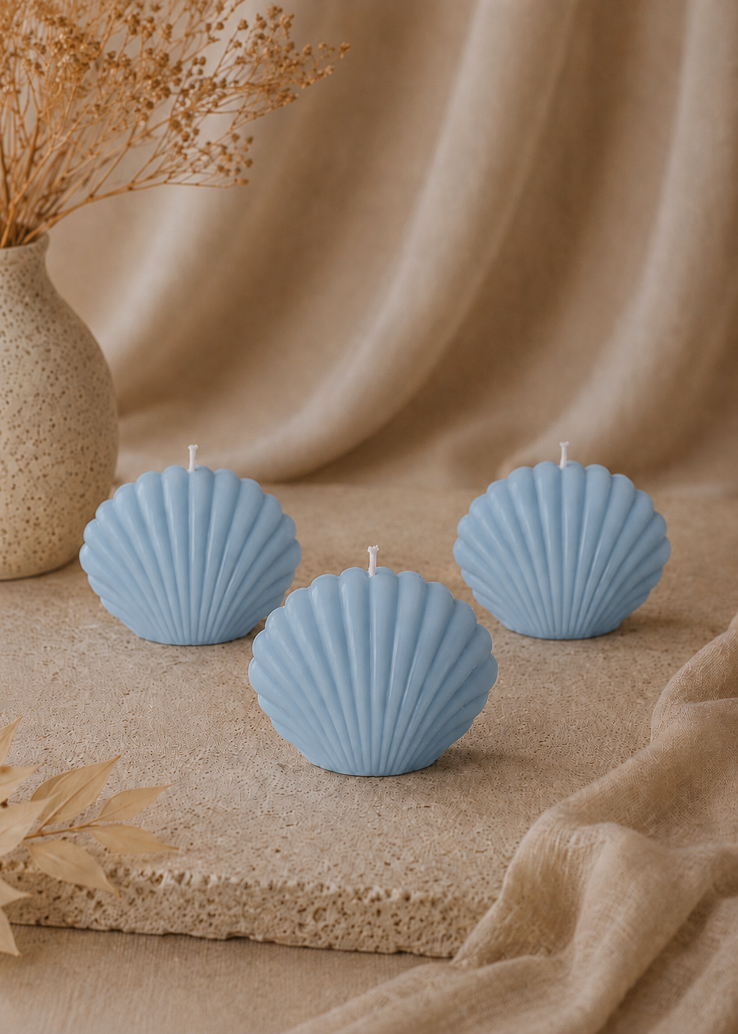 Coquillage velours